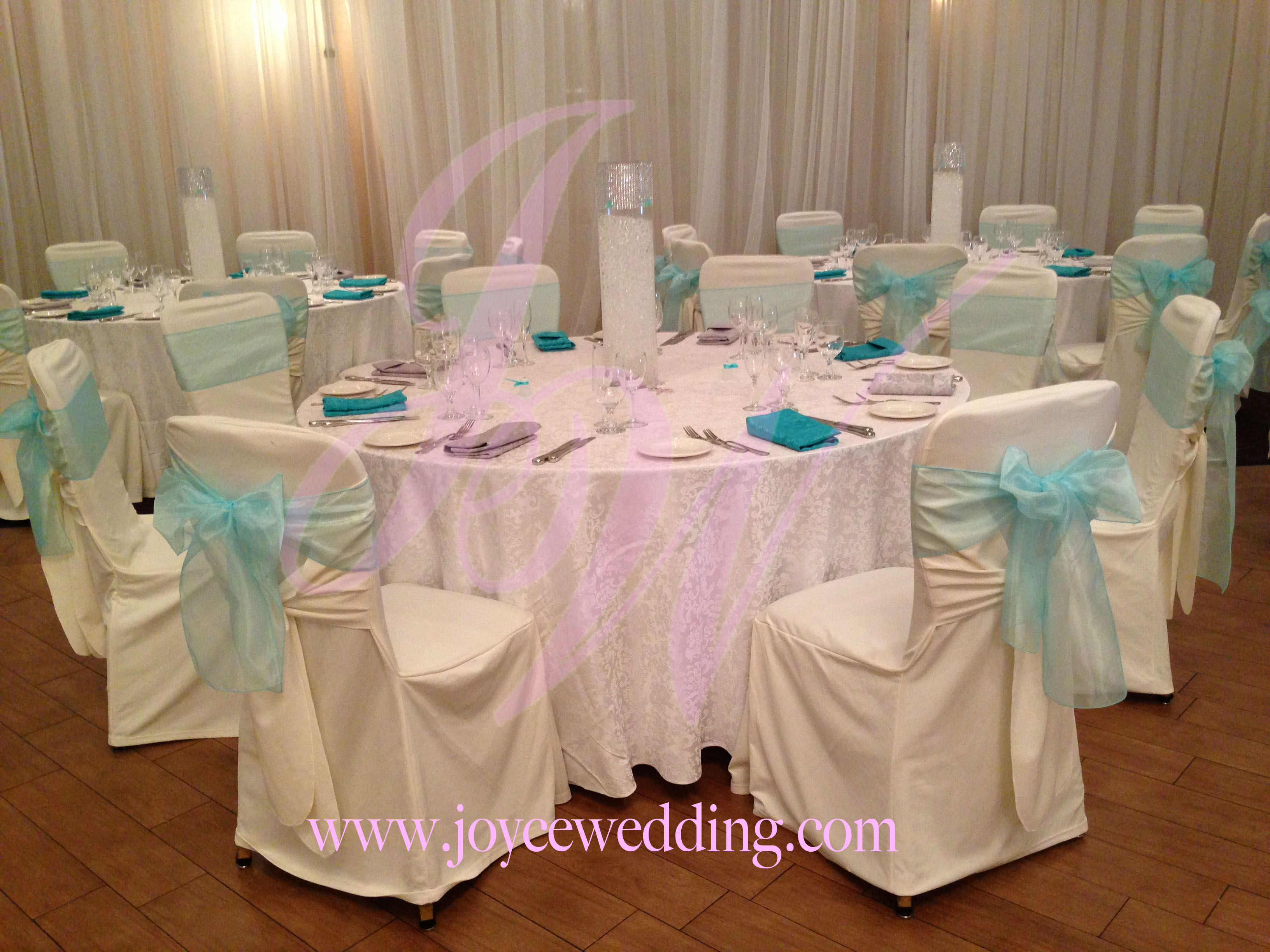 White And Tiffany Blue Ribbon Decoration Joyce Wedding